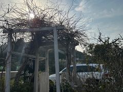 -树山生态村