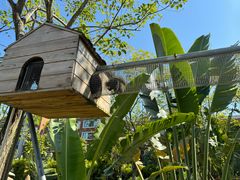 -珠海海泉湾神秘岛亲子乐园