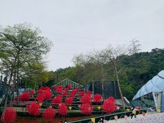 -东部华侨城