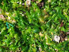 -东戴河风景区-止锚湾