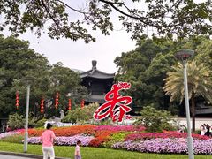 -荔湾湖公园