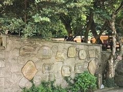 -普陀山风景名胜区-法雨禅寺