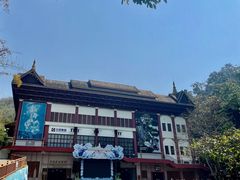 -西双版纳原始森林公园