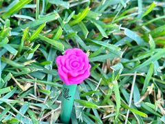 -麓湖高尔夫球俱乐部