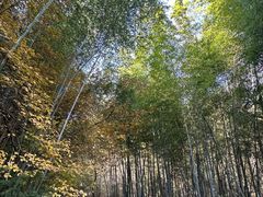 -敬亭山风景名胜区