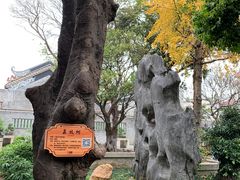 -碧江金楼
