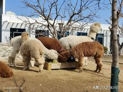 -居庸关长城