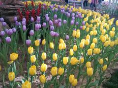 android_upload_pic-石家庄市植物园