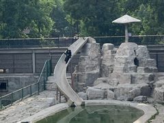 -石家庄市动物园