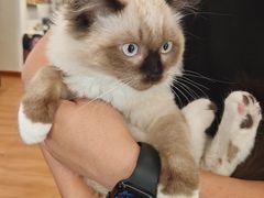 -梧桐巷咖啡厅·coffee&bar