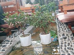 -丽江庭院之爱在路上(西单店)