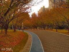 -苏州河梦清园环保主题公园