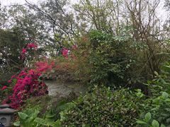 -深圳国际园林花卉博览园