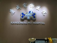 -康成宠物医院24H·CT·核磁共振