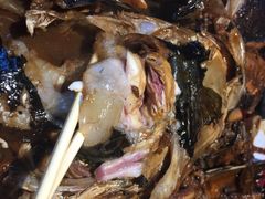 -旺顺阁鱼头泡饼(常营店)