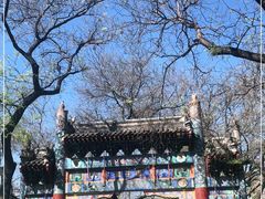 -北京国子监胡同