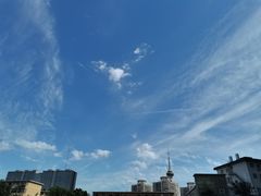 -半天妖烤鱼(丰科万达店)