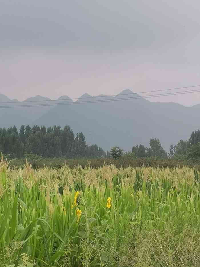 东大镇-"29岁jk老女孩的夏天～大老远的跑去看向."-大众点评移动版