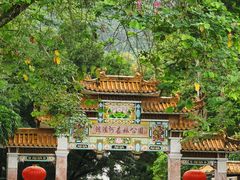 -广州市流溪河国家森林公园