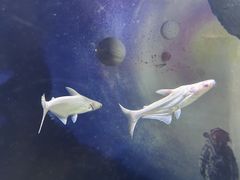 -常州海昌海洋探索馆