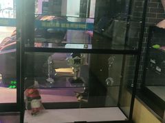 -网鱼网咖·电竞(南开百脑汇店)