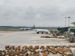-广州白云国际机场-T2航站楼