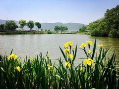 -长兴太湖图影湿地文化园