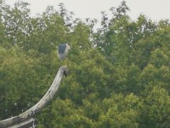 -汇龙潭