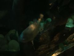 -济南野生动物世界