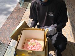 -BLACKSWAN黑天鹅(环球店)