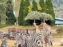 -大连森林动物园