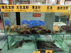 -寻味顺德·南记酒家·传统顺德菜·鱼生(广源路店)