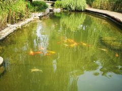 -春风习习