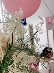 -莲姿娜·半永久纹眉皮肤管理