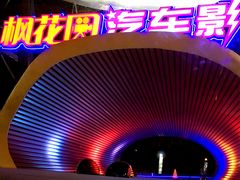-枫花园汽车电影院(朝阳公园店)