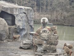 -宁波野生动物园