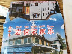 -岩保农家乐