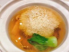 绣球豆腐汤-香乐园·淮扬菜中餐厅·Shang Garden(福田香格里拉店)
