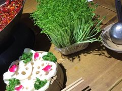 -白乐天毛肚火锅馆(解放碑店)