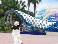 -海合安成都极地海洋公园