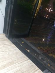 -GT潮朴美业