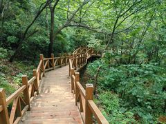 -大岭沟猕猴桃谷风景区