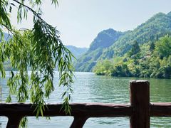 -后柳水乡