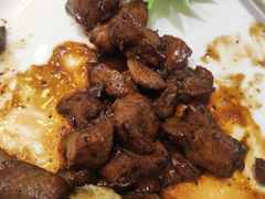 -老绍兴养和饭店(向阳不夜城店)