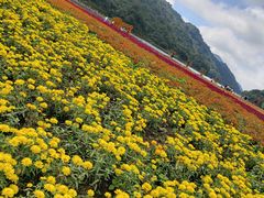 -广州市石门国家森林公园