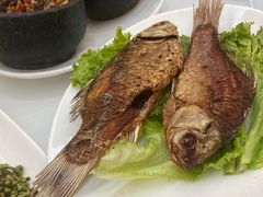 香茅草烤鲫鱼-蝴蝶泉宾馆-中餐厅