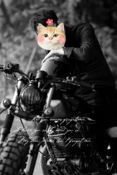 点击看大图 -帆拉斐婚纱摄影(春熙店)