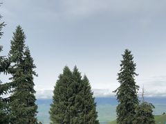 -新疆那拉提国家旅游度假区