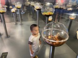 -七巧国萌宠乐园(龙湖天街店)