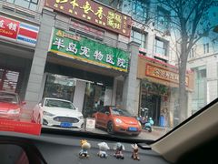 -半岛宠物医院24小时(科华中路店)